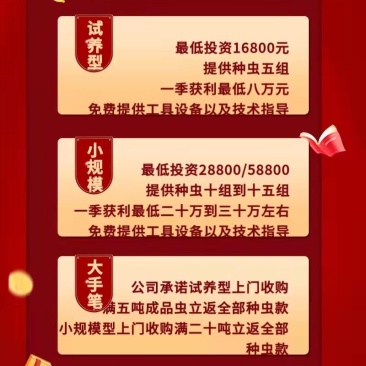 【蛋白虫】产地直销包技术包回收包售后可视频看货