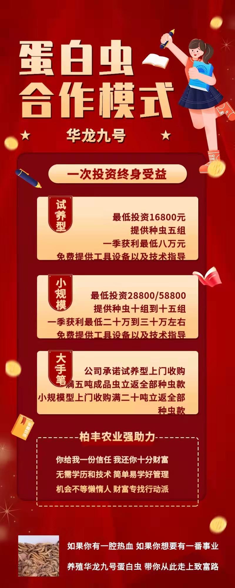【蛋白虫】产地直销包技术包回收包售后可视频看货