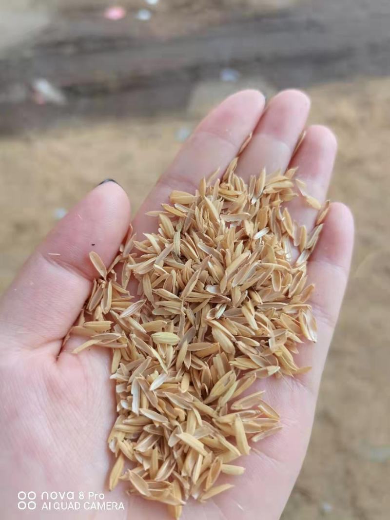 压缩稻壳，散装打包稻壳，重庆四川贵州地区厂家直供。