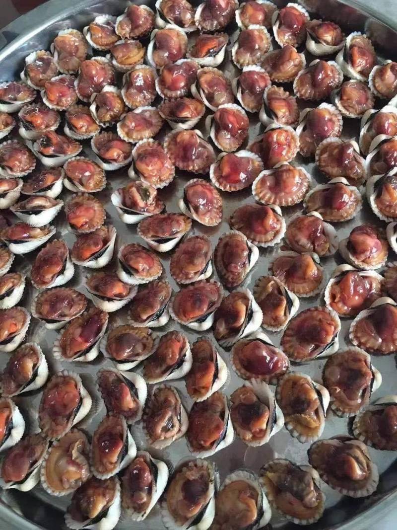 连云港血蛤蜊，不是毛蛤蜊，鲜活血蛤全国鲜活发货