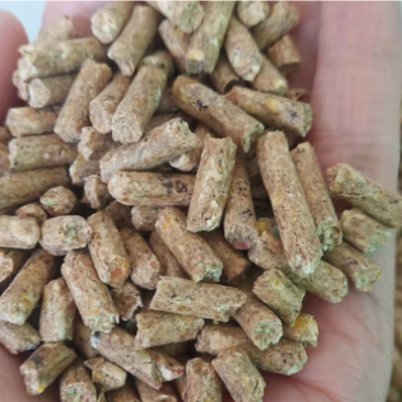 批量加工销售熟化草颗粒，牛羊马骆驼兔鹅草颗粒