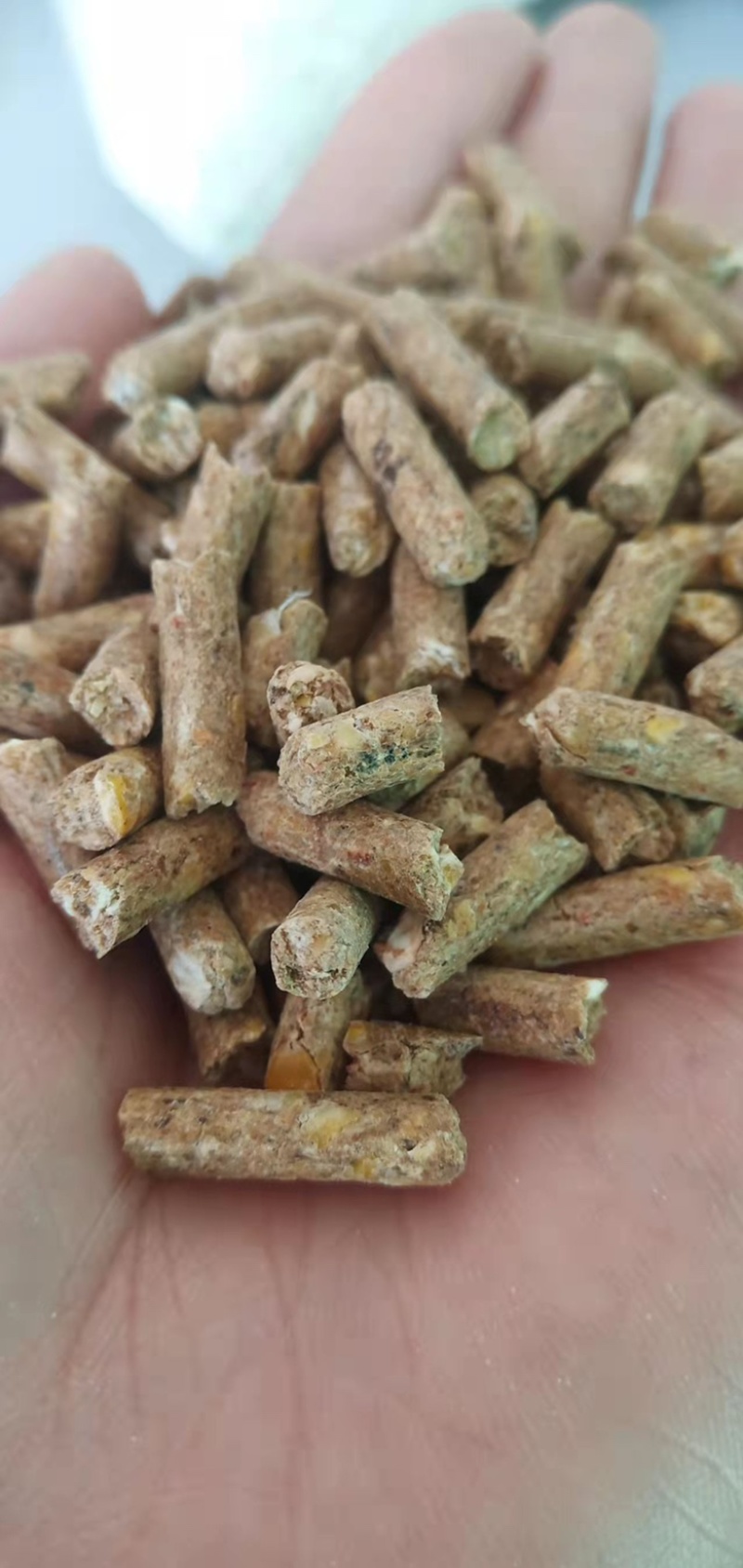 批量加工销售熟化草颗粒，牛羊马骆驼兔鹅草颗粒