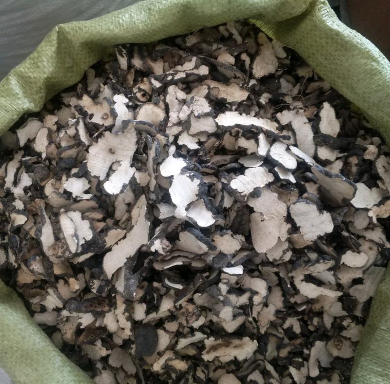 振兴药材批发茱苓猪苓规格齐全产地直供一手货源全国发货
