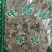 丁香叶冷背药材干货叶子量大从优干净无杂质