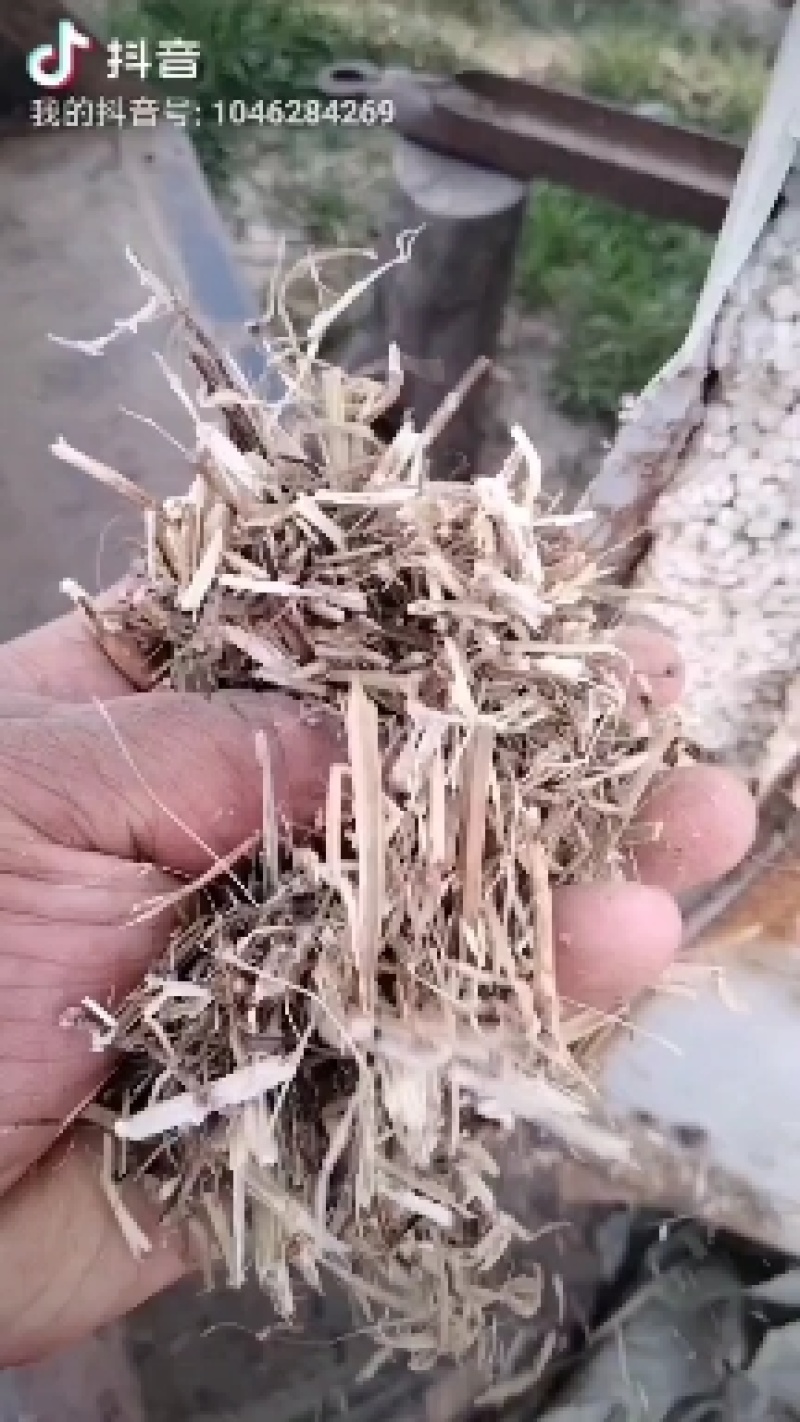 常年大量出售花生秧羊草，压块麦草，草粉，花生秧颗粒