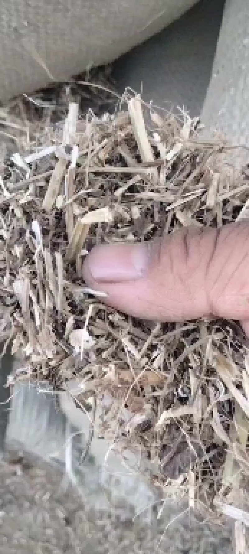 常年大量出售花生秧羊草，压块麦草，草粉，花生秧颗粒
