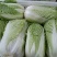 山东白菜大量上市中，有87---14！有纯黄心的秋宝！