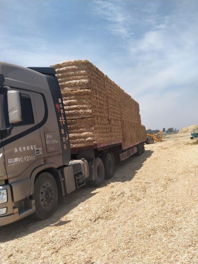大牛场专供麦秸装卸方便单包700公斤长度3-5公分