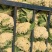 瑞安市登明蔬菜专为合作社
