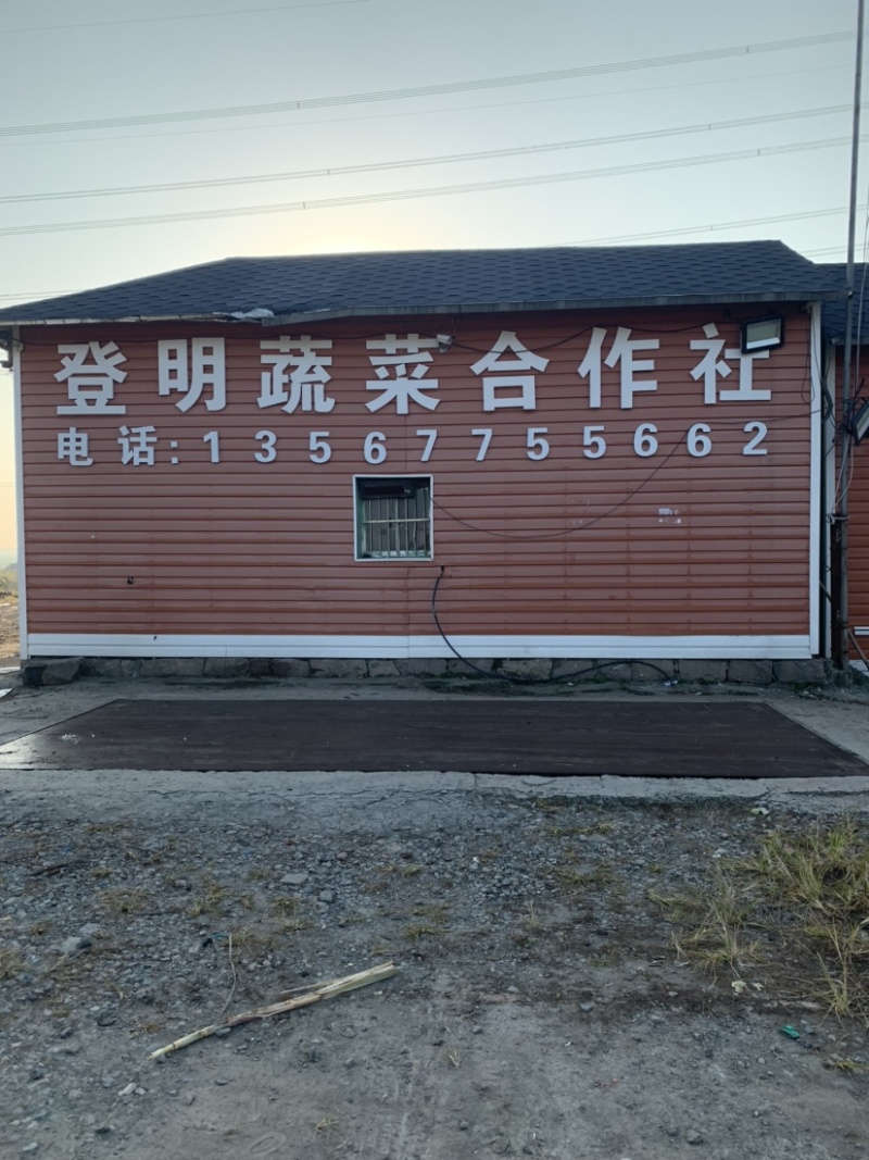瑞安市登明蔬菜专为合作社