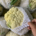 瑞安市登明蔬菜专为合作社