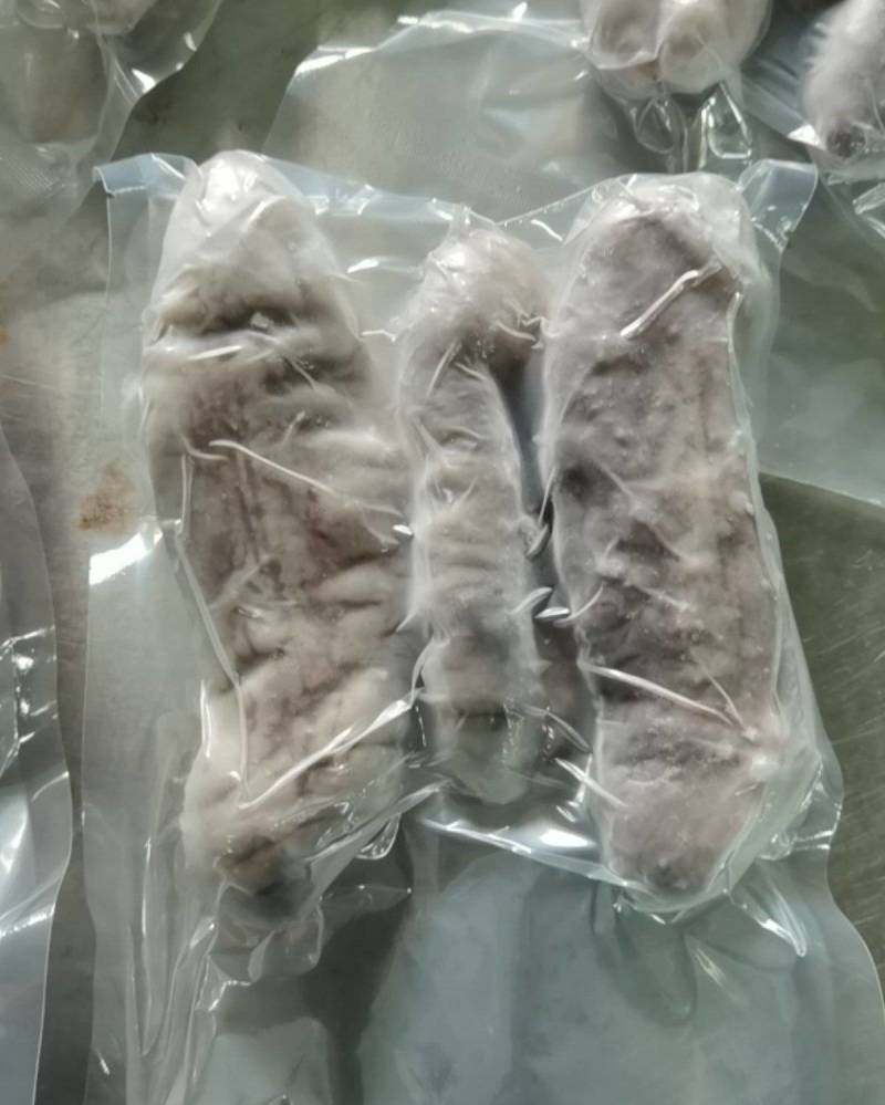 深海大乌参海茄参饭店用参团购用参【支持一件代发】