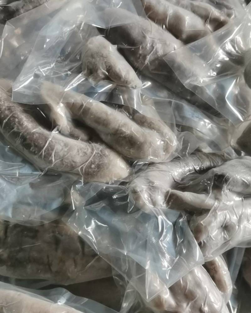 深海大乌参海茄参饭店用参团购用参【支持一件代发】