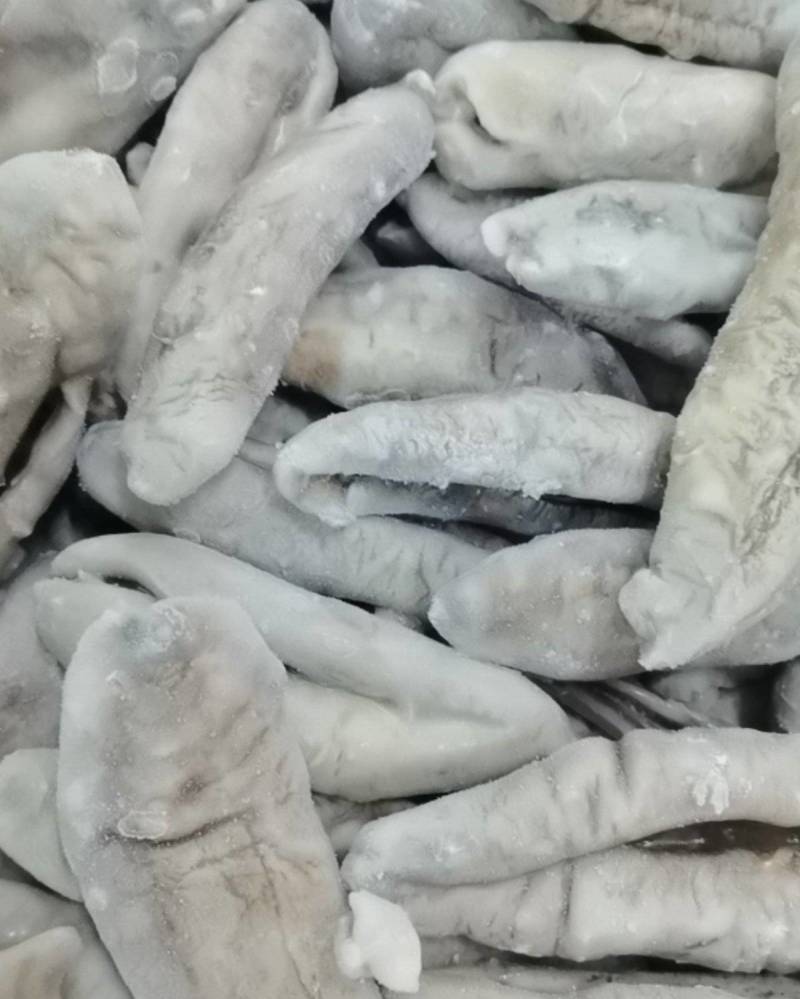 深海大乌参海茄参饭店用参团购用参【支持一件代发】