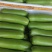 广东精品瓠子瓜