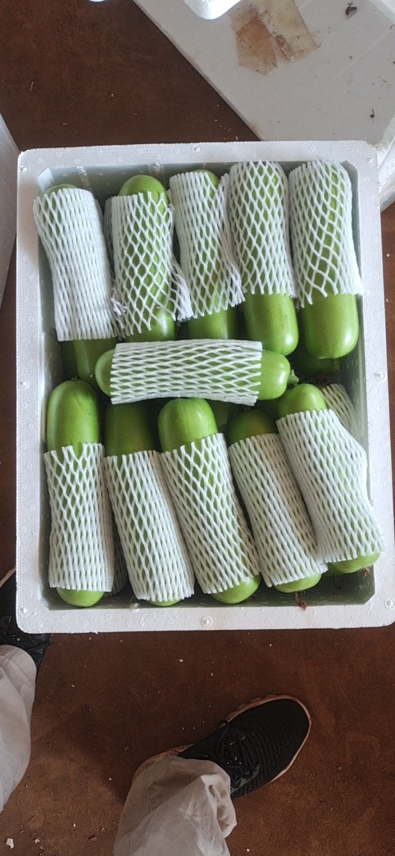 广东精品瓠子瓜