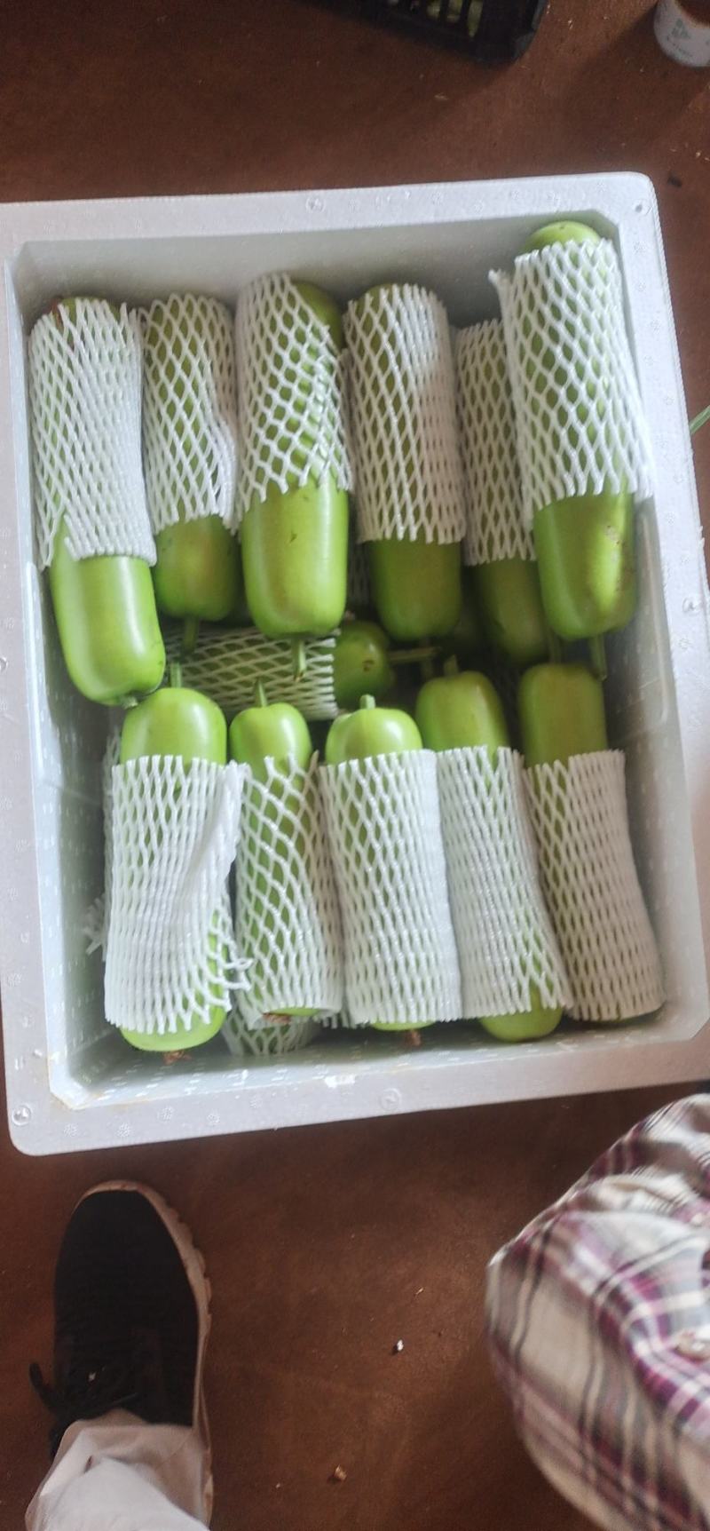 广东精品瓠子瓜