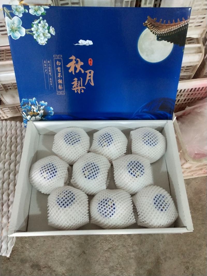 精品一件代发《山东秋月梨》原产地秋月梨，对接电商平台
