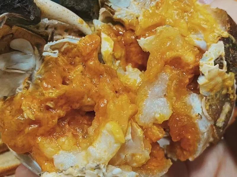 固城湖螃蟹大规格母蟹，蟹黄饱满肉质鲜甜，只只精品