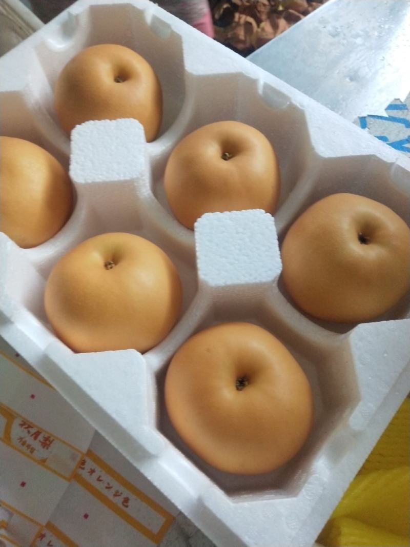 【精品】山东冠县丰水梨产地直供质优价廉，量大优惠