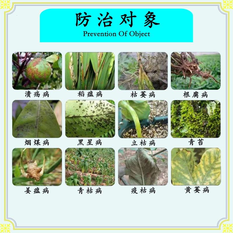 80%乙蒜素叶枯病青苔枯萎病青腐病立枯病病毒病真菌细菌病
