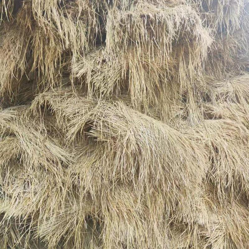 稻草适用于园林绿化温室大棚保温饲料原料好货源
