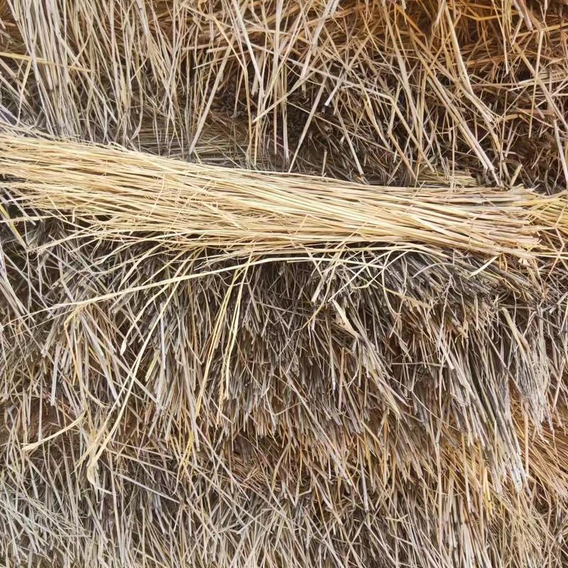稻草适用于园林绿化温室大棚保温饲料原料好货源