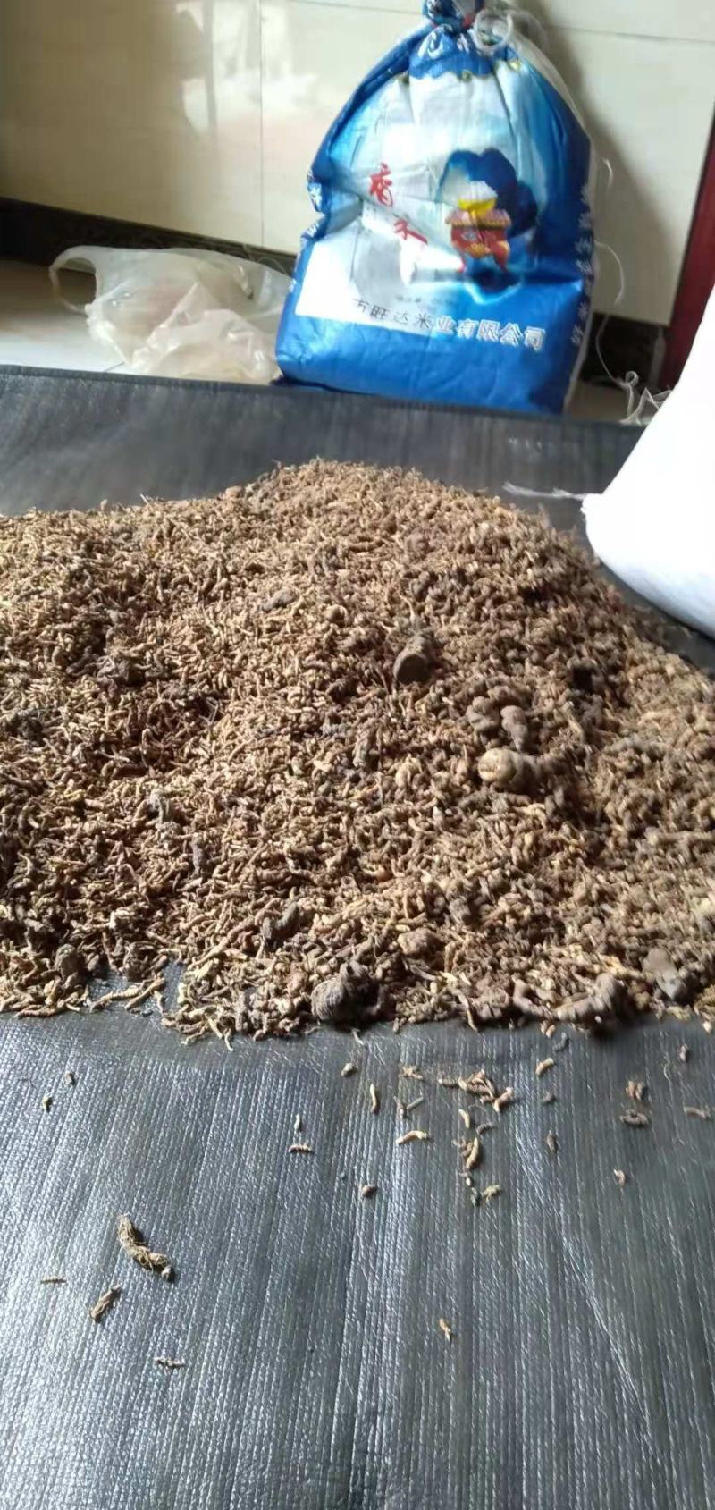 🔥【假一罚十】四川重楼干货✔大量现货✔量大从优