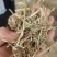 花生秧无土膜花生秧子霉无菌量大从优欢迎采购