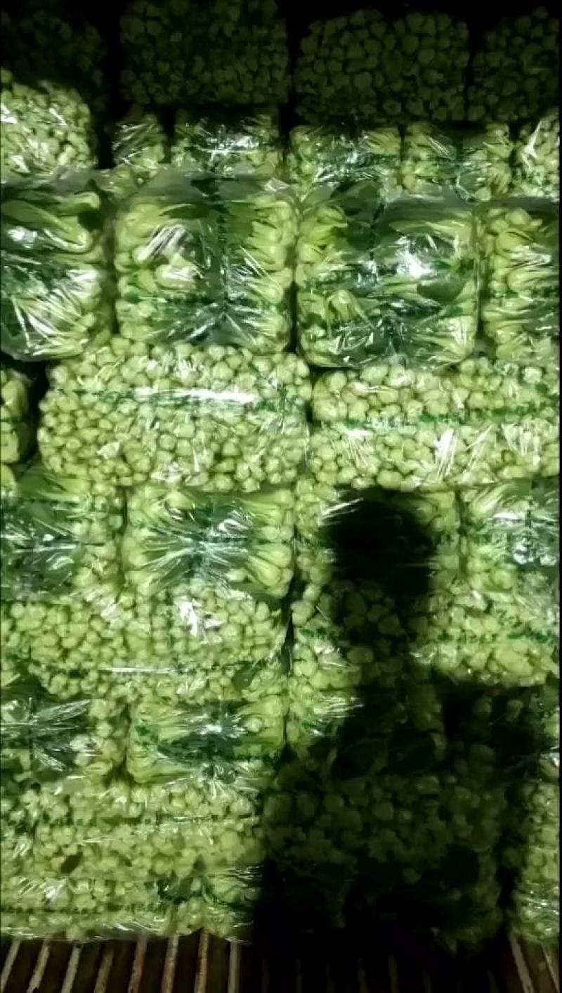 上海青小油菜。山东万亩产地直发。每天大量供货