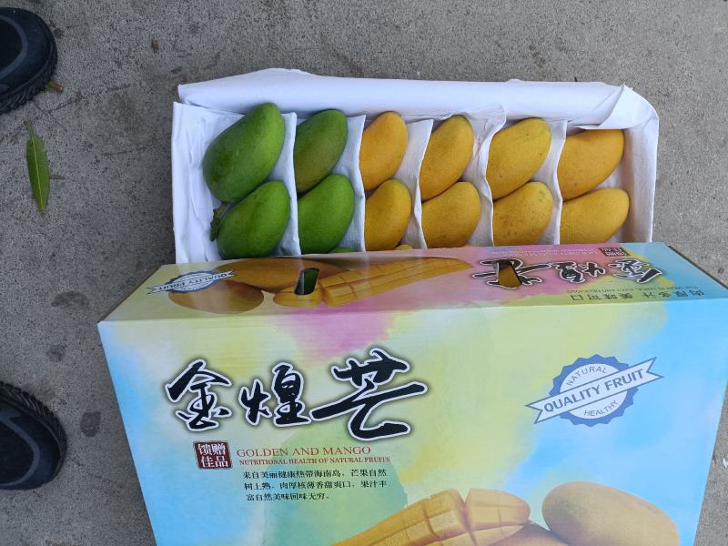 海南精品热带水果一级台龙芒果货源充足价格美丽