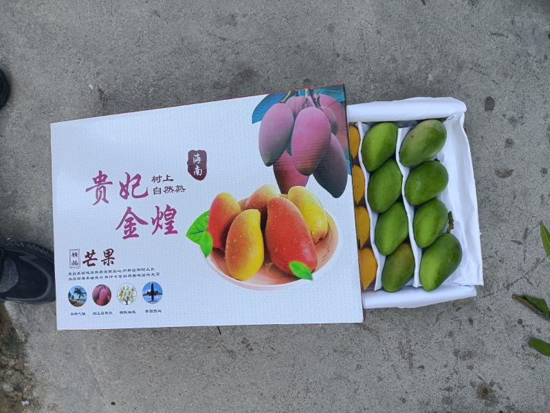 海南精品热带水果一级台龙芒果货源充足价格美丽