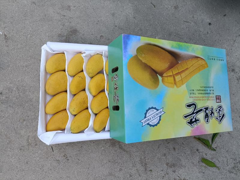 海南精品热带水果一级台龙芒果货源充足价格美丽