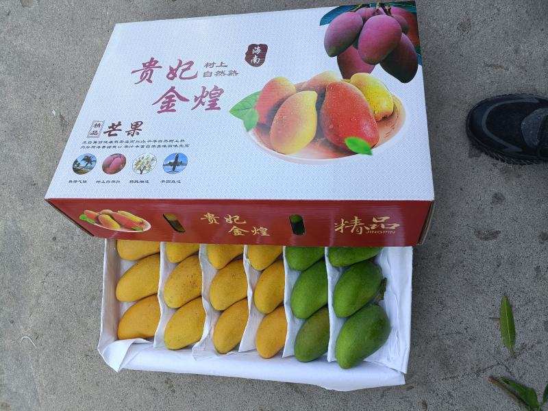 海南精品热带水果一级台龙芒果货源充足价格美丽