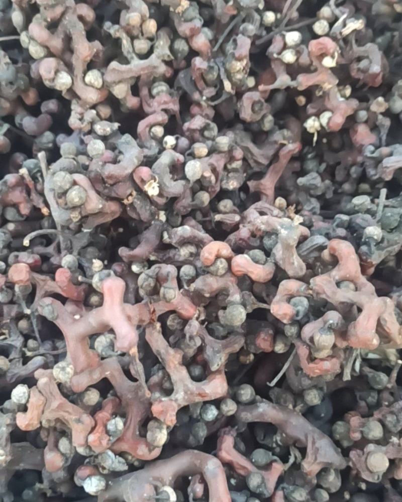 干拐枣，枳具，今年刚刚晒得，新鲜好吃回味无穷欢迎咨询
