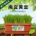 韭菜根盆韭南宫黄韭韭菜产地批发全国一件代发