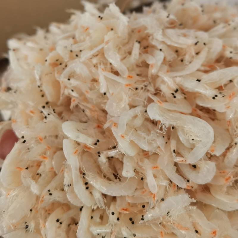 虾皮淡干无盐虾皮个大肉厚晶莹剔透有食欲供应电商