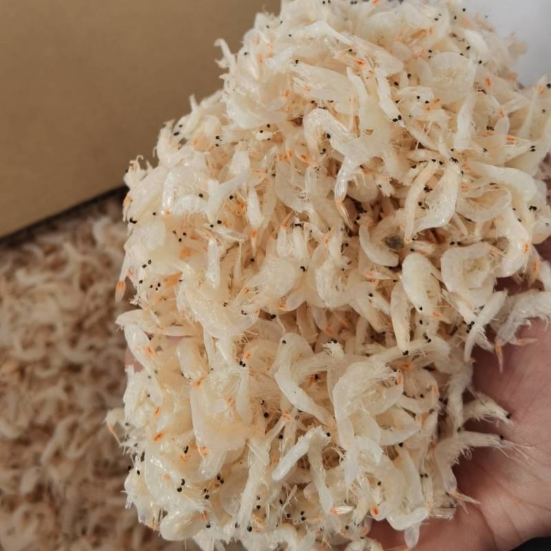 虾皮淡干无盐虾皮个大肉厚晶莹剔透有食欲供应电商