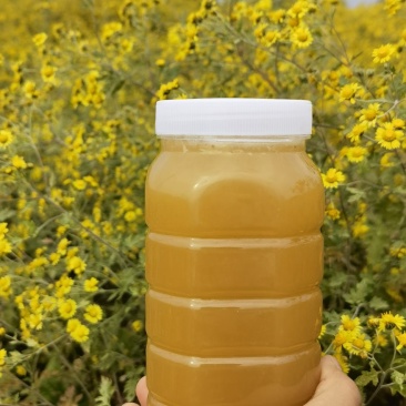 一年取一次的土蜂蜜