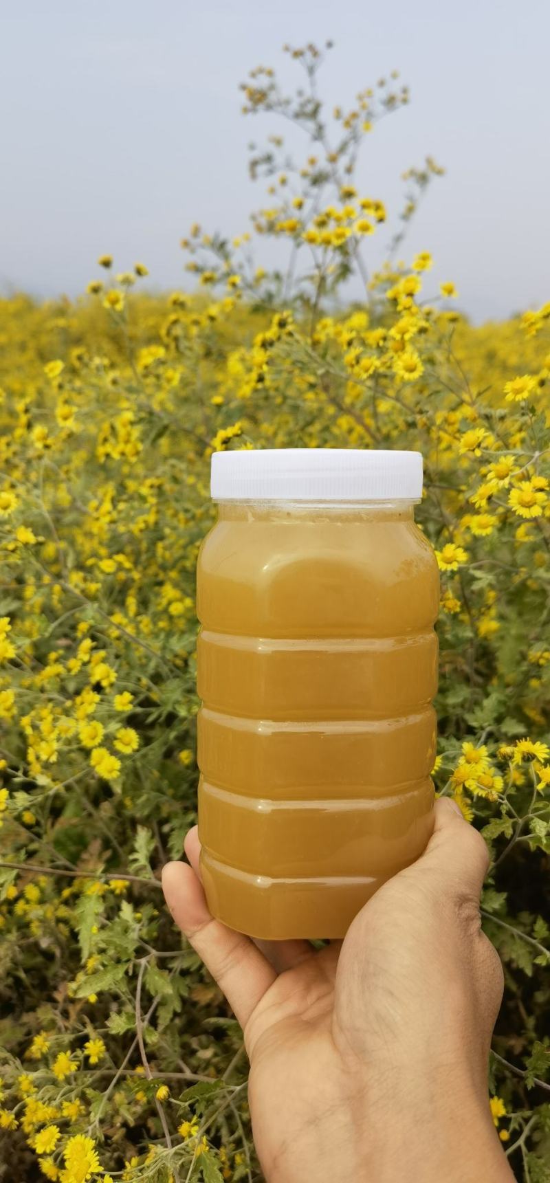 一年取一次的土蜂蜜
