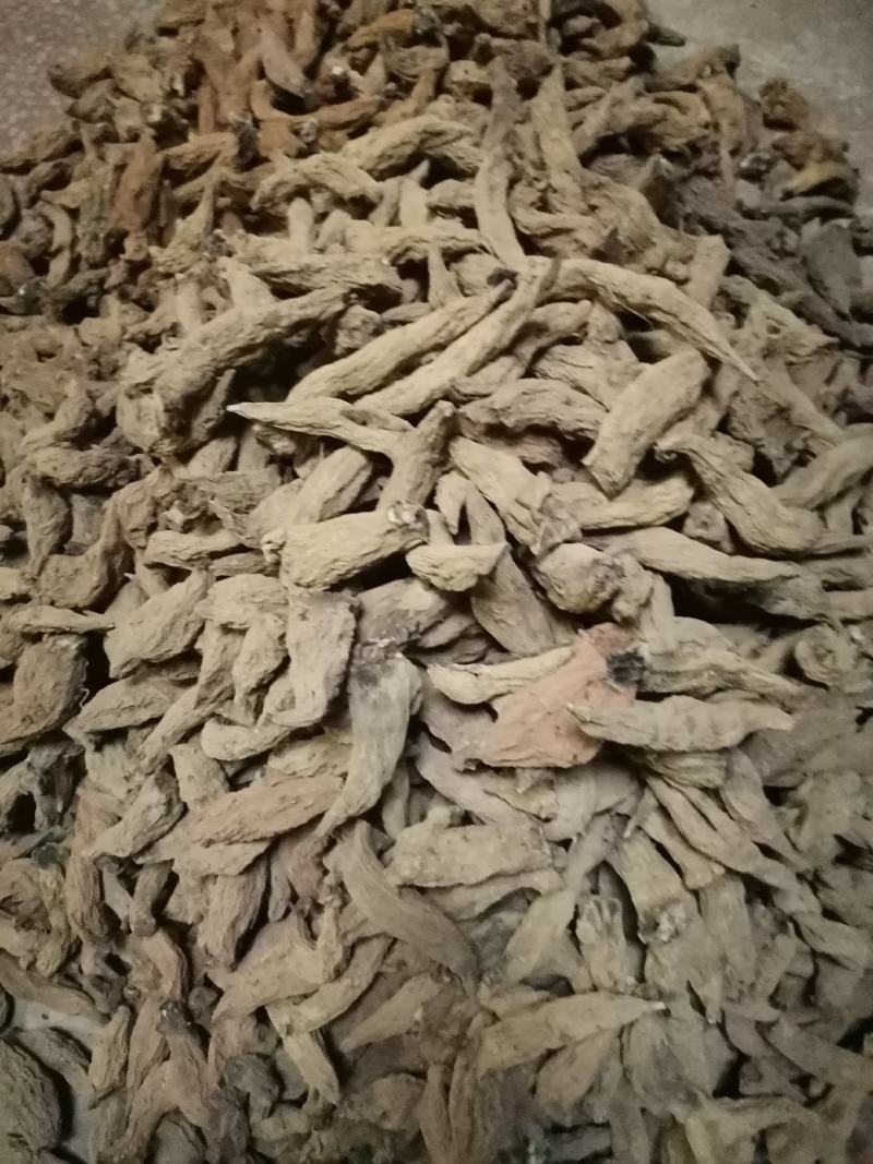 湖南短粗型玄参湖北长条玄参量大从优欢迎选购
