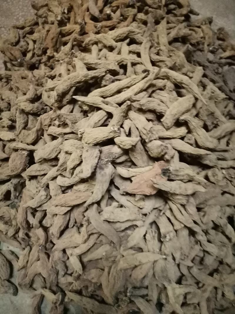 湖南短粗型玄参湖北长条玄参量大从优欢迎选购