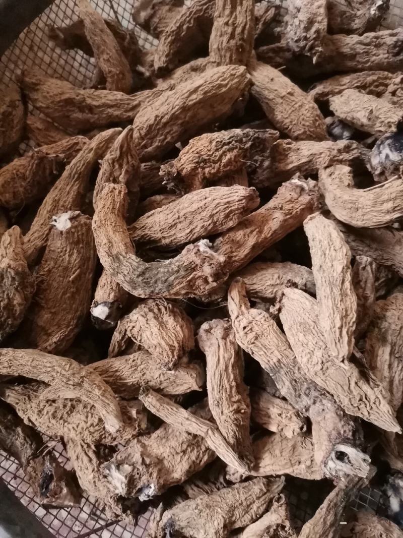 湖南短粗型玄参湖北长条玄参量大从优欢迎选购