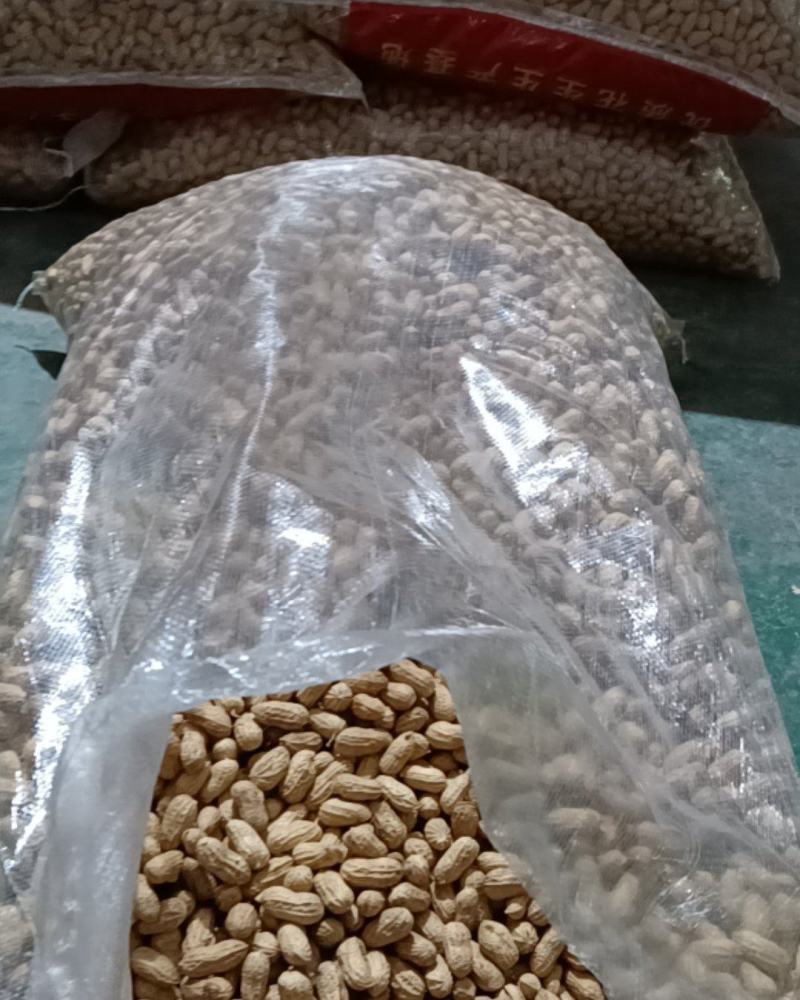 白沙双仁果，花育种子果，炒货果