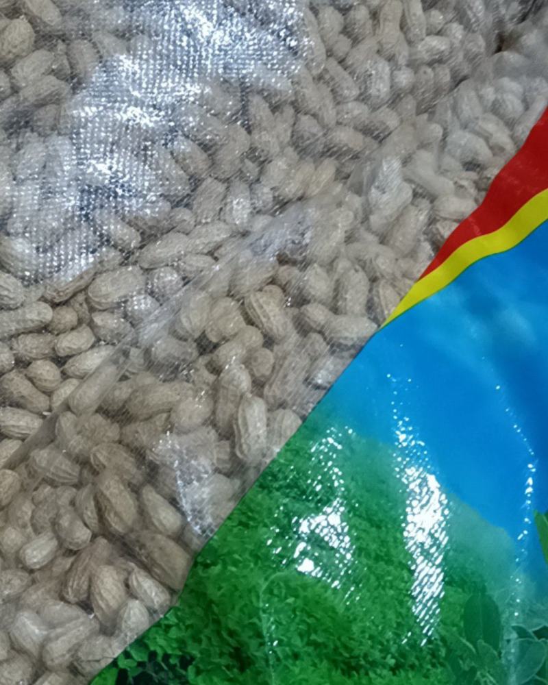 白沙双仁果，花育种子果，炒货果