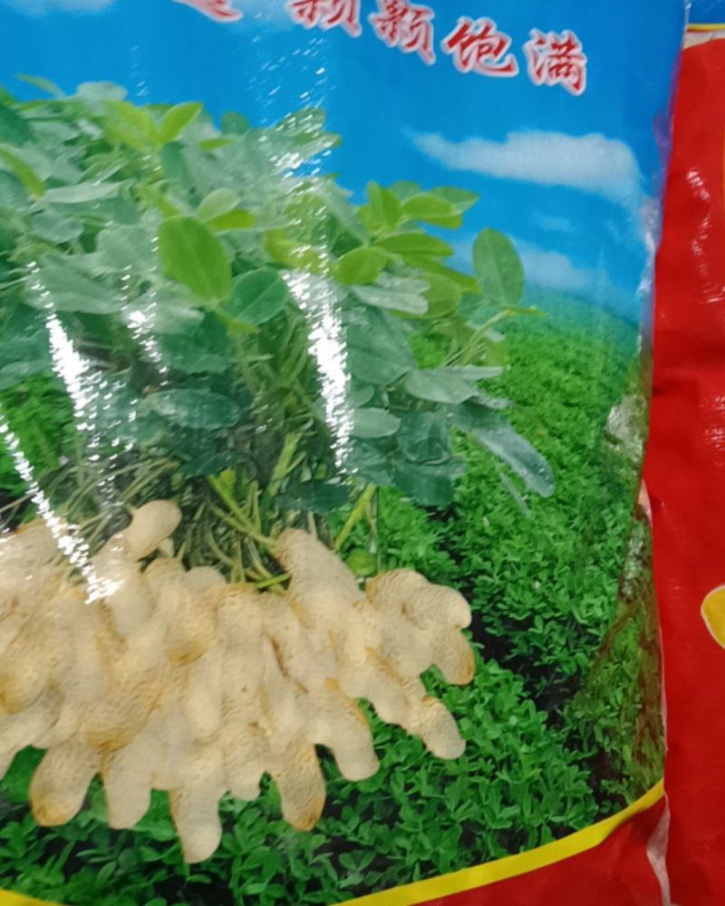 白沙双仁果，花育种子果，炒货果