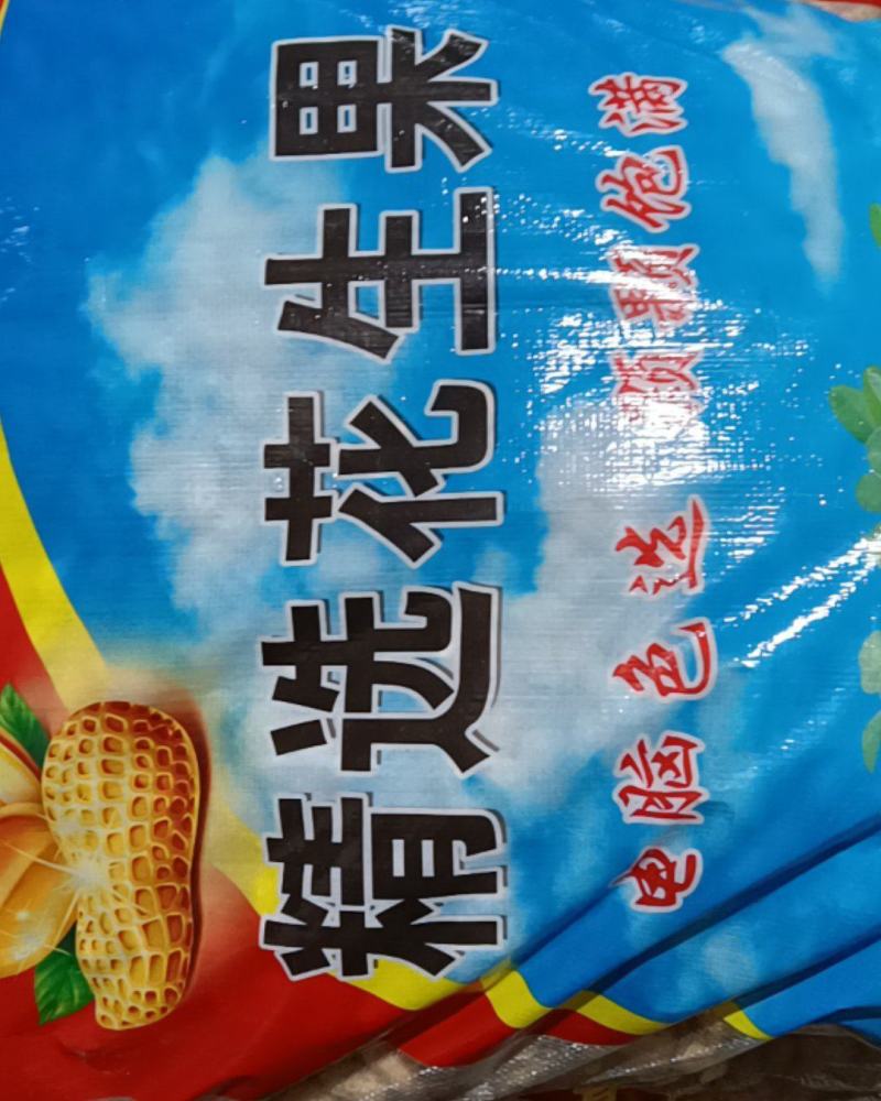 白沙双仁果，花育种子果，炒货果