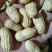 白沙双仁果，花育种子果，炒货果