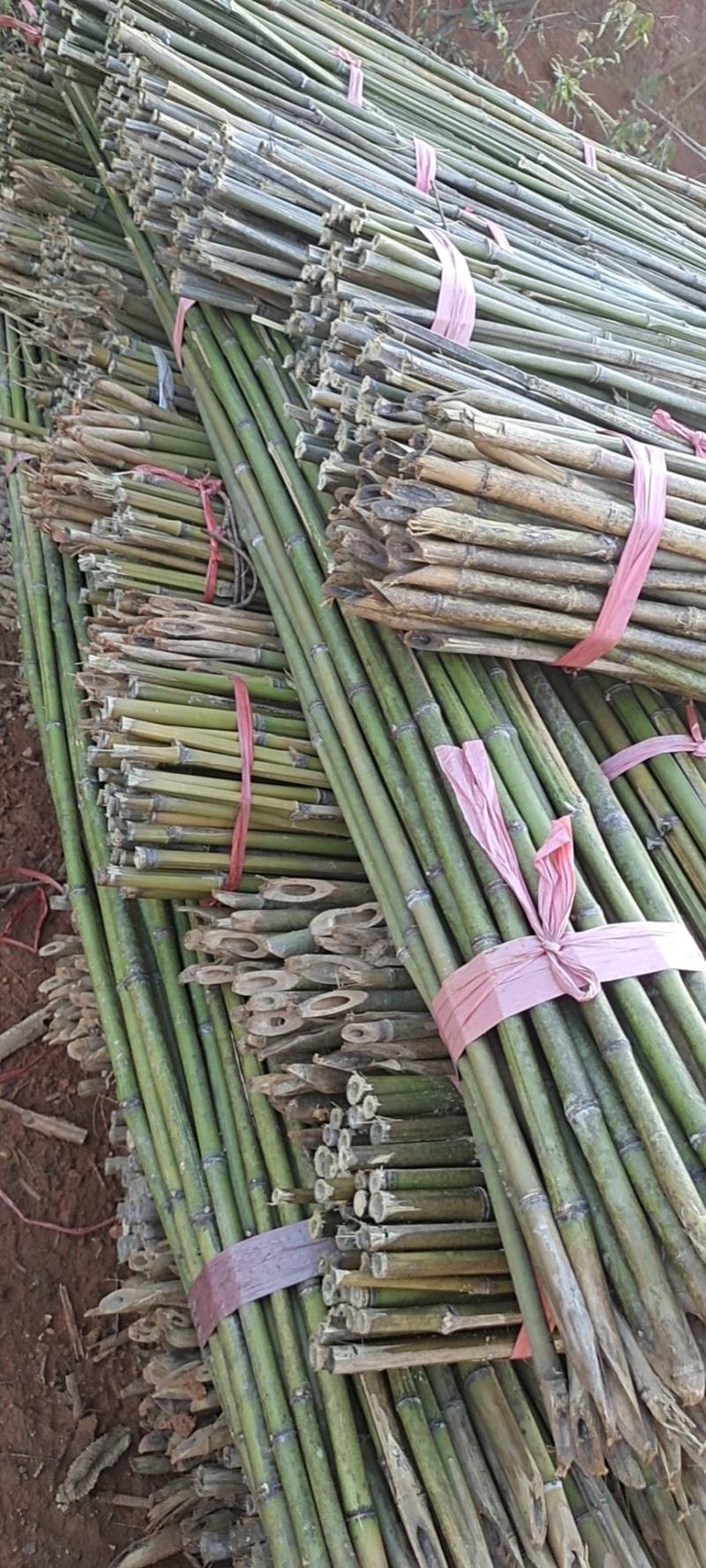 48枝装精品麻竹，可用做西红柿，黄瓜，圣女果架，冬瓜架