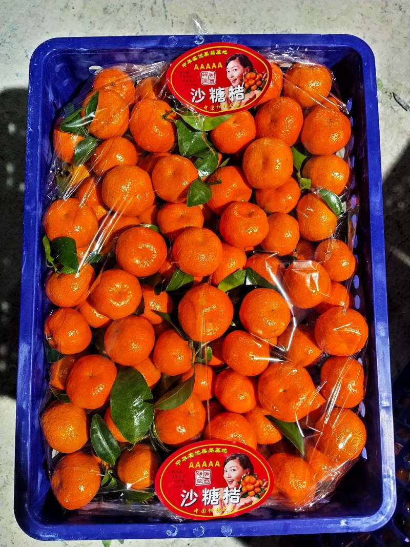 广西西林砂糖橘，果漂亮，口感好。